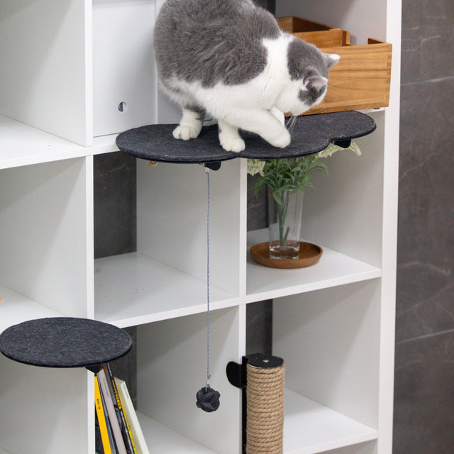 Catssup Floating Playground