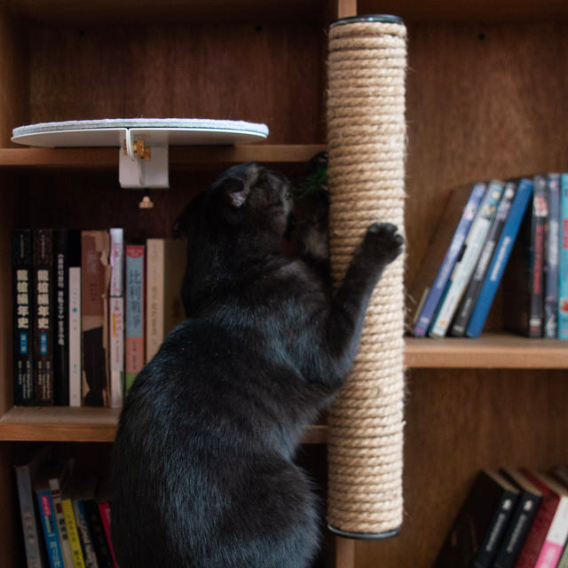 Catssup Climbing Tower